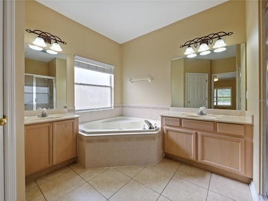 Master Bathroom Tub