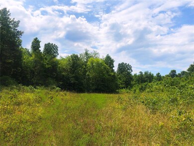 13466 State Route W, Newburg, MO 65550 - photo 5