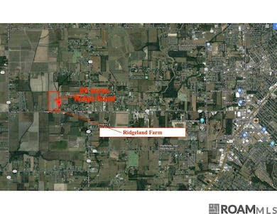 2426 Ridge Rd, Duson, LA 70529 - photo 3