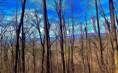 LT 67 Mealer Rd, Ellijay, GA 30536 - photo 3