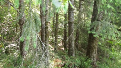 1892 King Rd, Winlock, WA 98596 - photo 7