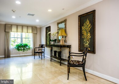 Condos at the Ridge unit 102, Owings Mills, MD 21117 - photo 5