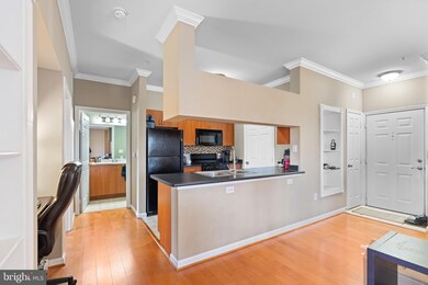 13506 Derry Glen Ct unit 103, Germantown, MD 20874 - photo 7