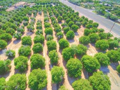 3643 E Huber St unit 2, Mesa, AZ 85205 - photo 2