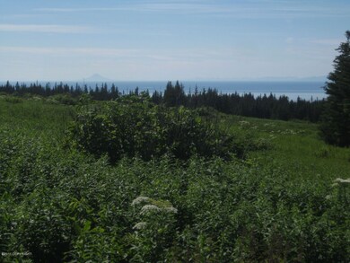 Mt. Augustine