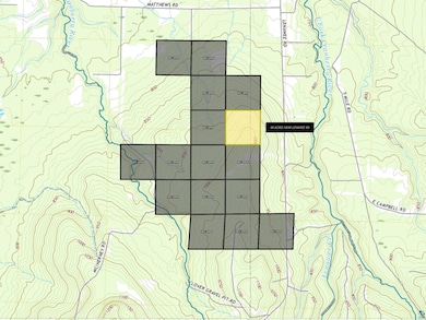40 Acres Near Lenawee Rd, Clover, WI 54844 - photo 2