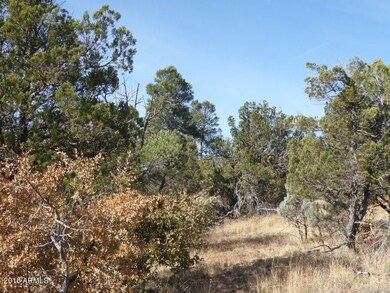 oak, ponderosa pines and more