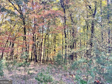 22 Wauka Mountain Rd, Clermont, GA 30527 - photo 4