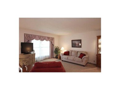 Living Room. Brand new frieze carpet in neutral to