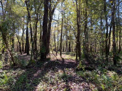 0 Reynolds Rd, Tensaw, AL 36579 - photo 7