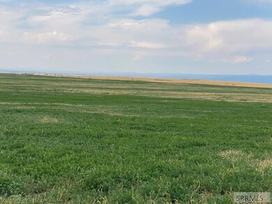 Field
