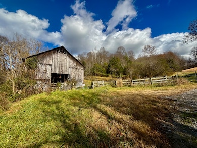 1520 Brittontown Rd, Afton, TN 37616 - photo 3