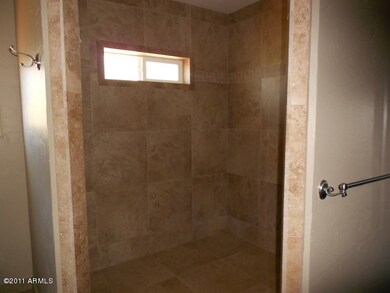 Master Bathroom Shower
