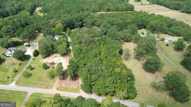 0 Piedmont Rd unit 10600733, Barnesville, GA 30204 - photo 4