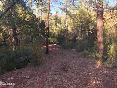 590 W Elusive Dr unit 11, Payson, AZ 85541 - photo 2