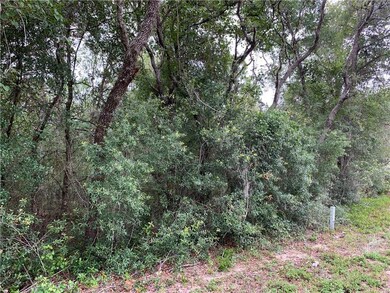 1627/1663 E Naperville Ln, Hernando, FL 34442 - photo 3