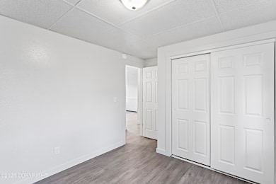 photos_high_resolution_17_5310_Lionheart