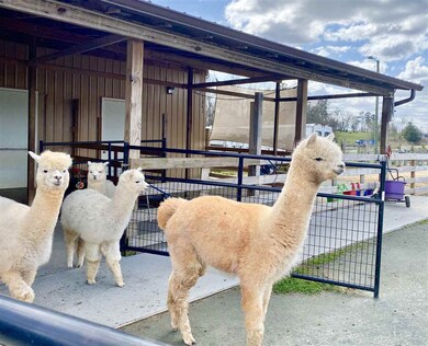 7084 U S Highway 64 W, Pittsboro, NC 27312 - photo 3