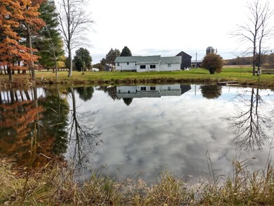 Pond behind house