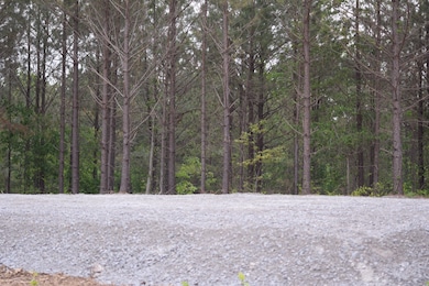 19 Chestnut Dr, Linden, TN 37096 - photo 7