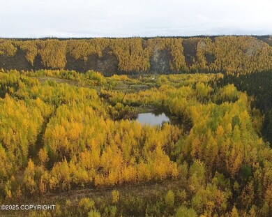 fall colors alaska little boulder creek