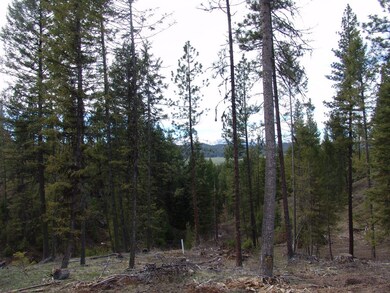 Great Base Camp For All Your Recreational Activiti
