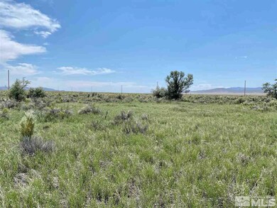 10915 Ishi Point Dr, Lovelock, NV 89419 - photo 2