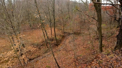 0 Moss Run Rd unit 11610651, Marietta, OH 45750 - photo 6