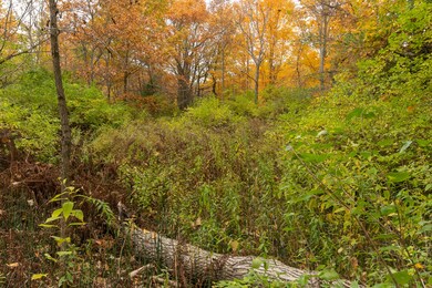 387 Vaughn Rd, Dover Foxcroft, ME 04426 - photo 7