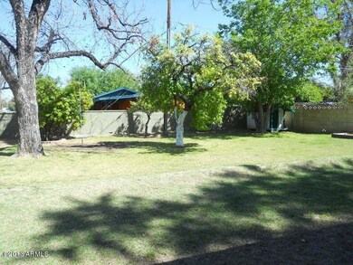 Back yard