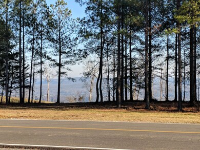 2575 River Bluffs Dr, Jasper, TN 37347 - photo 2