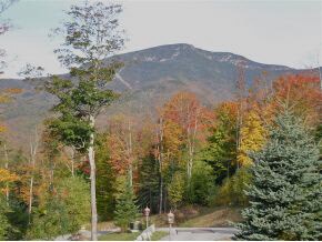 16 Bean Bender Rd, Waterville Valley, NH 03215 - photo 6