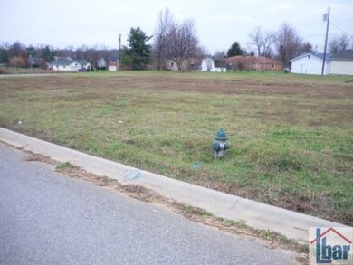 160 Virginia Ave, Harrodsburg, KY 40330 - photo 2