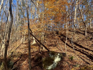 680 Nibert Rd unit (Ponds Poplar Ridge, Gallipolis, OH 45631 - photo 7
