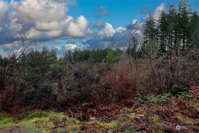 0 W Fish Hatchery Rd, Matlock, WA 98541 - photo 2