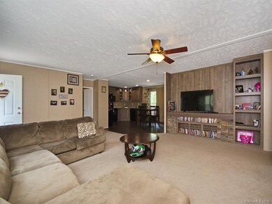 118 Peaceful Valley Dr, Leicester, NC 28748 - photo 3