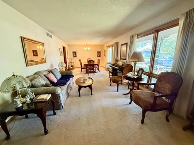 902 N Hovis St, Mountain Grove, MO 65711 - photo 6