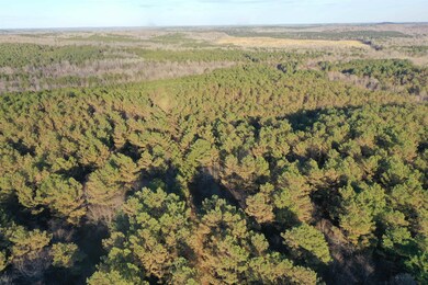 0 Cr 419 Rd, Ripley, MS 38603 - photo 5