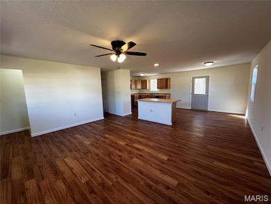 26899 Stephanie Ln, Laquey, MO 65534 - photo 5