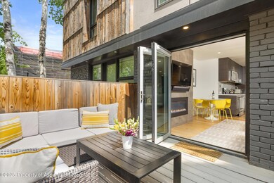 250 S Original St unit B, Aspen, CO 81611 - photo 6