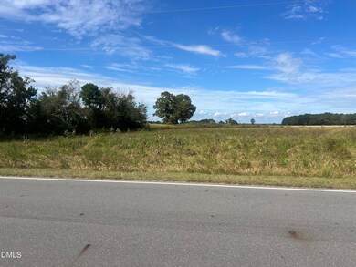 900 Marler Rd, Benson, NC 27504 - photo 4