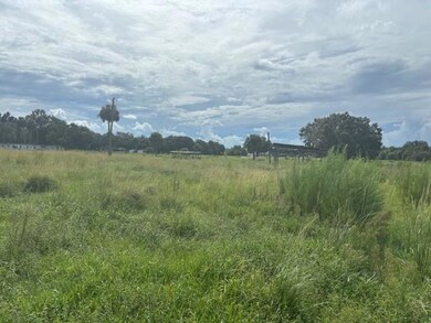 1202 NW 8th Ave, Okeechobee, FL 34972 - photo 4