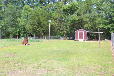 6 BACK YARD