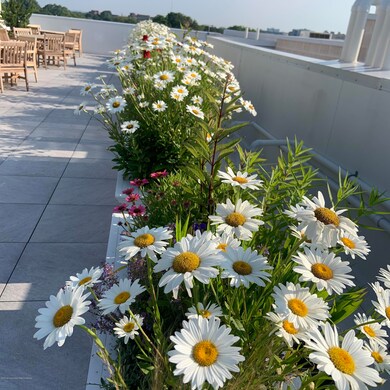 57 Brighton Ave unit 404, Long Branch, NJ 07740 - photo 6