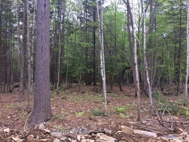 Lot 2 - 00 Sawyer Rd, Cape Elizabeth, ME 04107 - photo 5