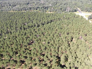 77 AC State Highway 13 Acres, Nekoosa, WI 54457 - photo 4