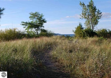 173 Ottawa, Elk Rapids, MI 49629 - photo 4