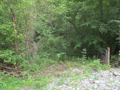 0 Corbin Lake Rd unit 1118174, Rutledge, TN 37861 - photo 2