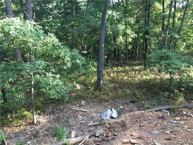 1 Wakefield Ln, Bella Vista, AR 72715 - photo 4