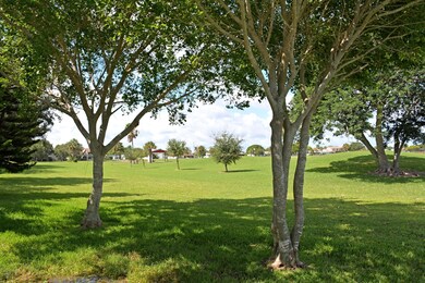 Part of Back Yard Facing South